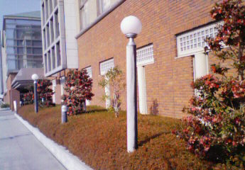 b0188121_2127314.jpg