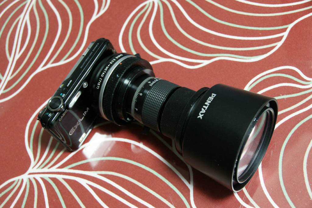 c0002621_23535265.jpg