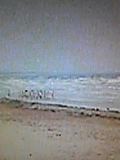 e0182926_11574679.jpg