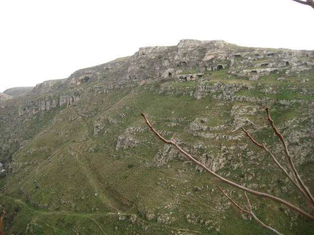 d0147727_2052757.jpg