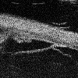 f0088231_1644384.jpg