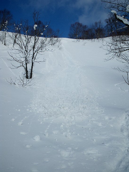 f0118332_21592367.jpg