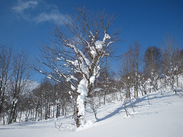 f0118332_2216168.jpg