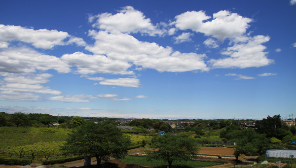 e0044635_2347125.jpg