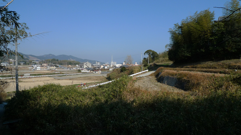 a0134839_1935425.jpg