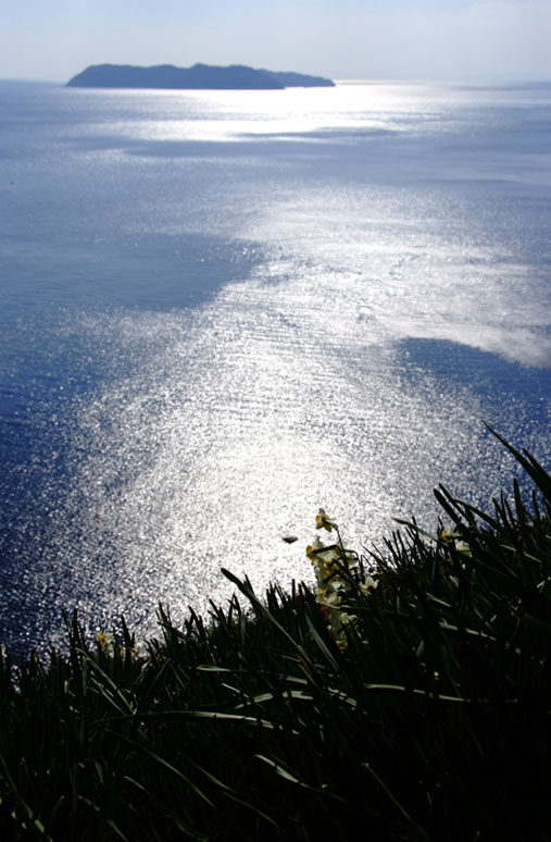 b0075541_23525811.jpg