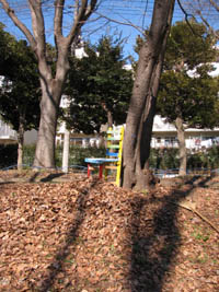 e0181546_16245155.jpg