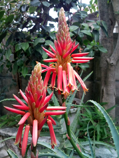 e0034047_1654346.jpg