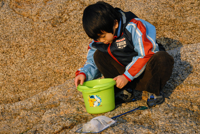f0147048_532264.jpg