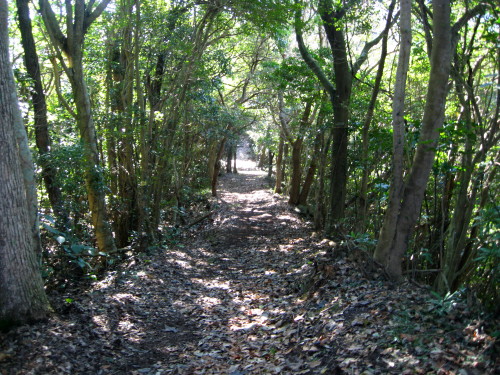 c0179351_21342386.jpg