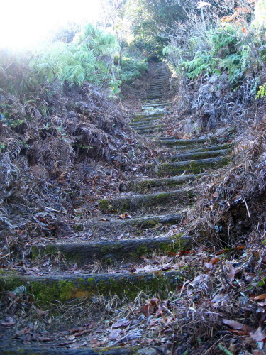 c0179351_213547.jpg
