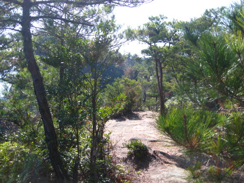 c0179351_21355596.jpg