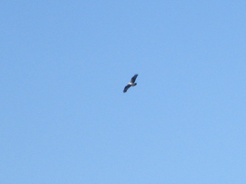 c0179351_21394551.jpg