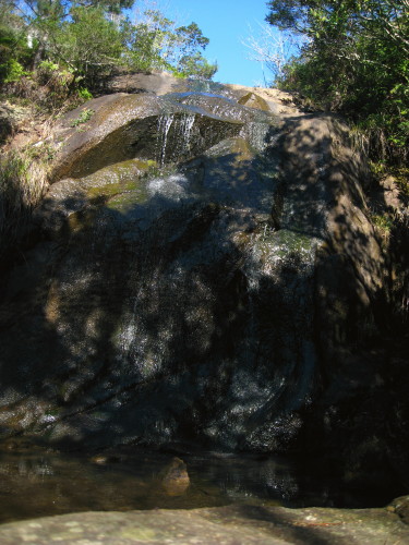 c0179351_2149496.jpg