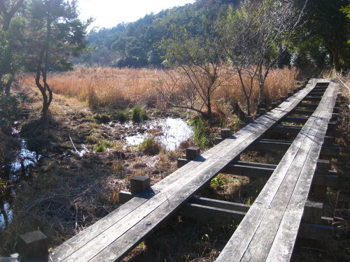 c0179351_2151880.jpg