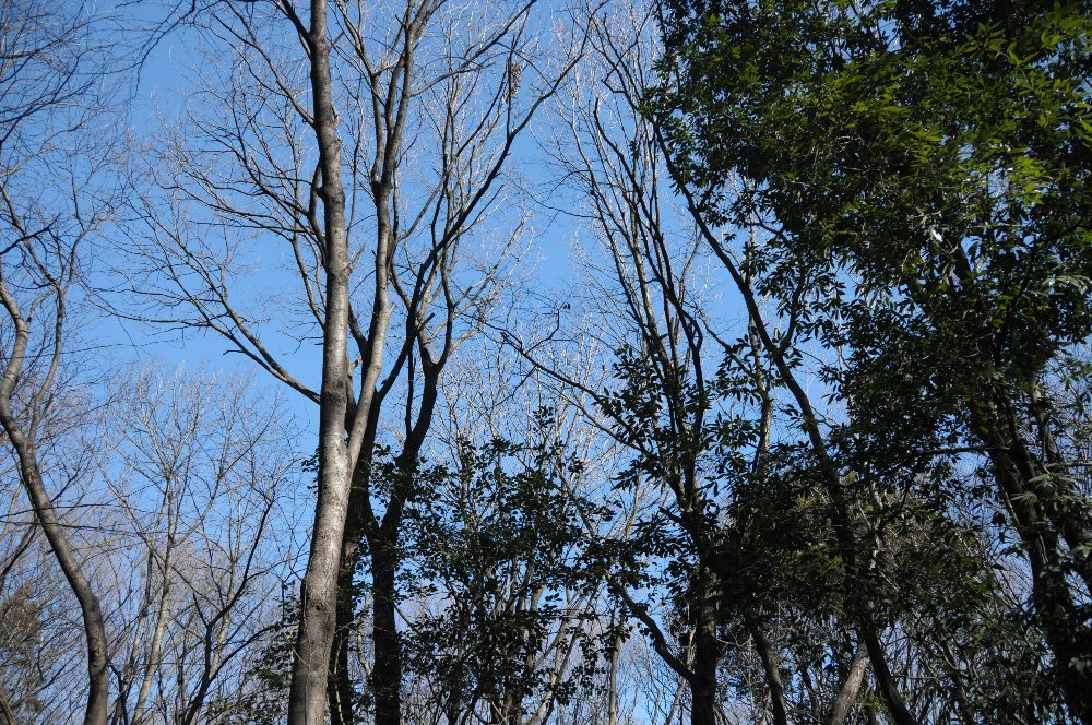 e0159454_810518.jpg