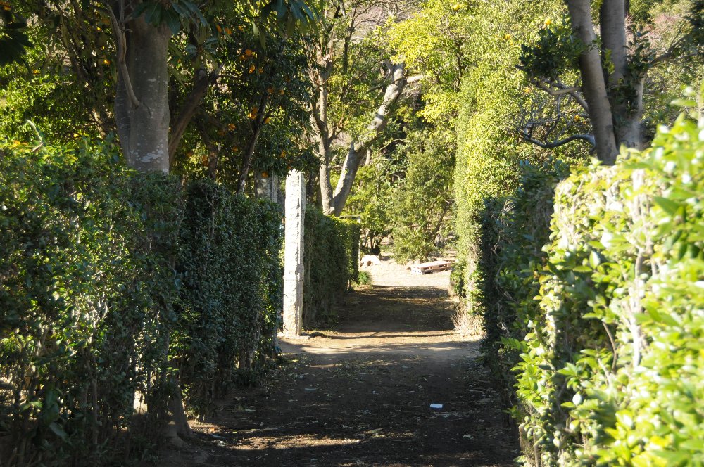 e0159454_8105411.jpg
