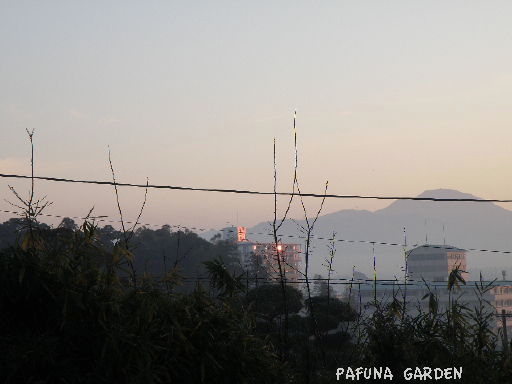 e0184558_953100.jpg