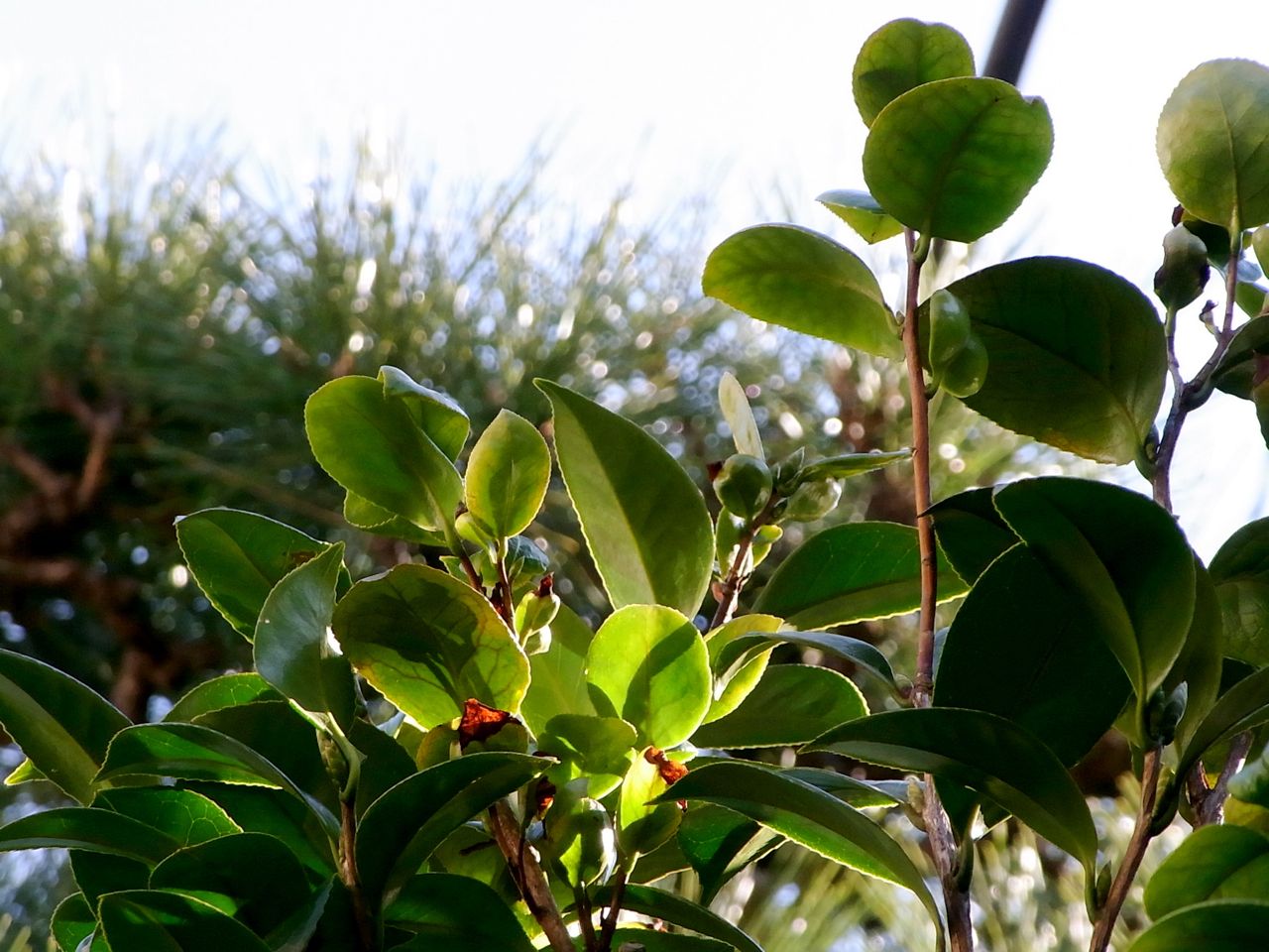 b0141865_2234280.jpg
