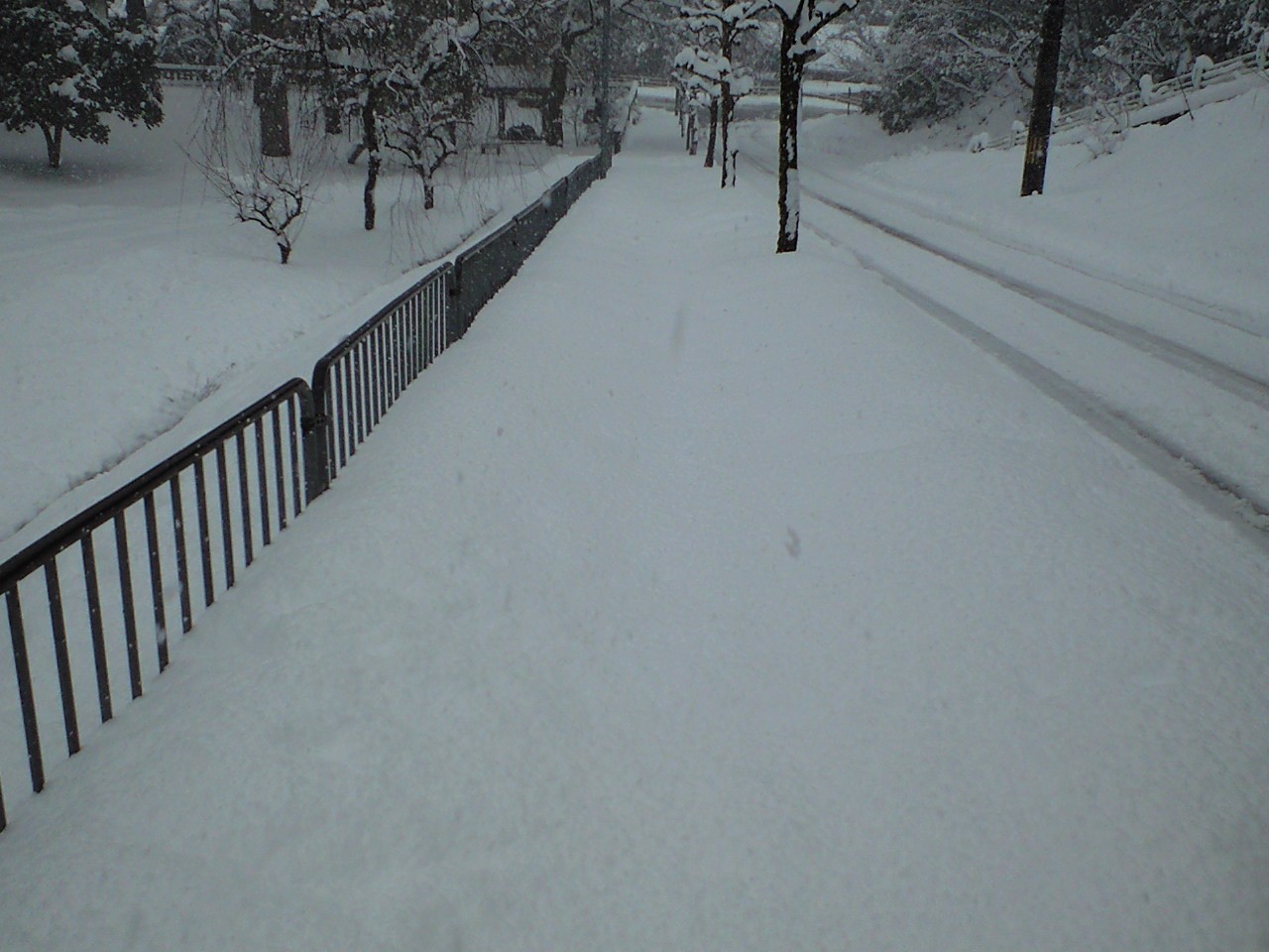 d0094868_6593225.jpg