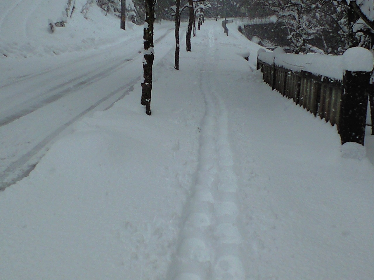 d0094868_6594210.jpg