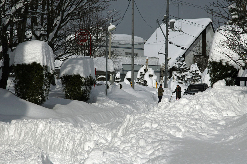 e0100772_22135155.jpg