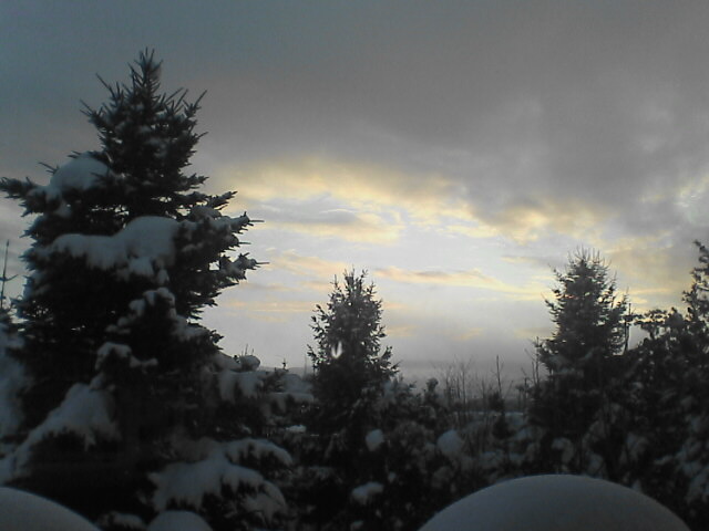 c0069380_11394524.jpg