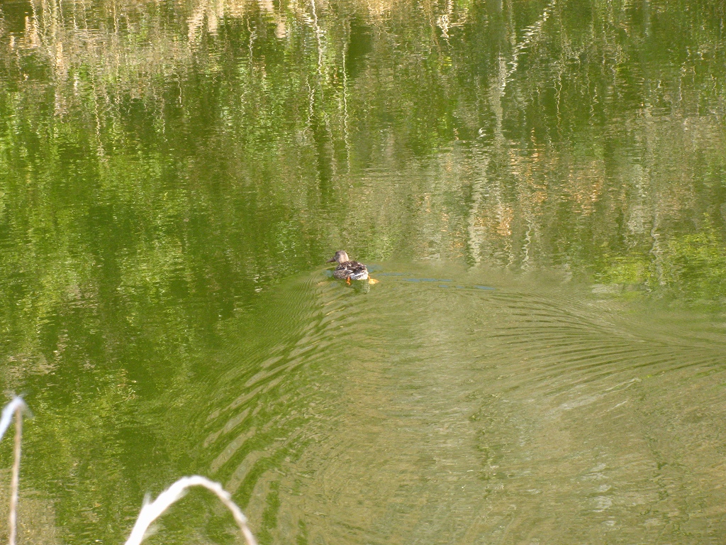 e0024081_17572845.jpg