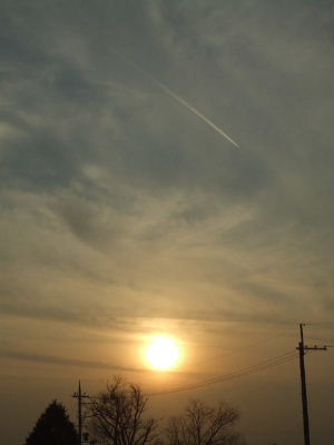 f0005081_22384926.jpg