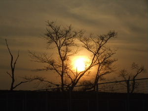 f0005081_22394276.jpg