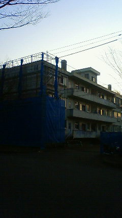 e0117183_1624528.jpg