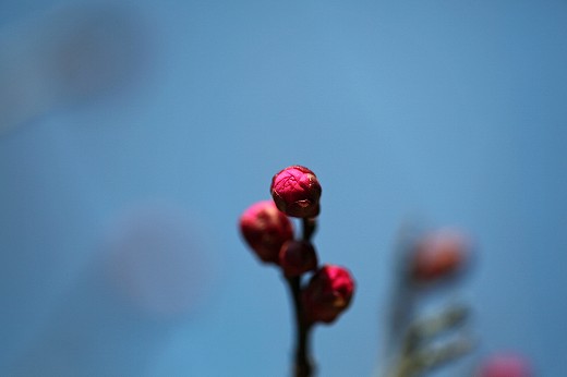 e0190885_201378.jpg