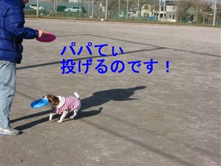 e0121589_116416.jpg