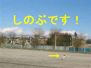 e0121589_116518.jpg