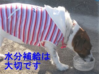 e0121589_1201290.jpg