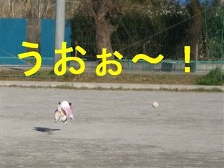 e0121589_1205538.jpg