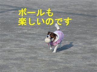 e0121589_1211294.jpg