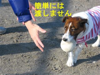 e0121589_1212870.jpg
