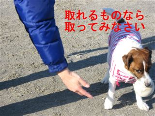 e0121589_1221827.jpg