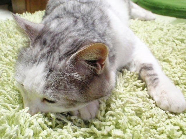 a0159490_12572974.jpg