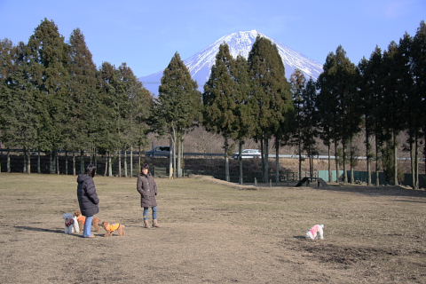 b0104592_11165326.jpg
