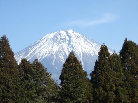 b0104592_1117527.jpg