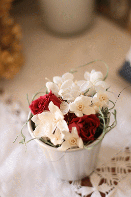d0100192_2315317.gif