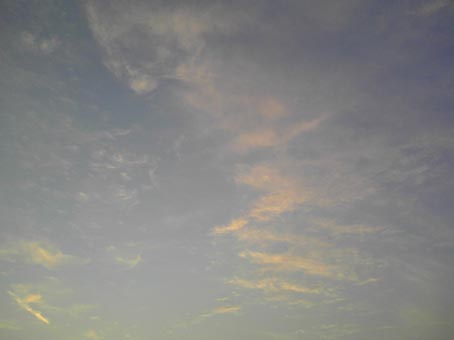 c0004193_18465679.jpg