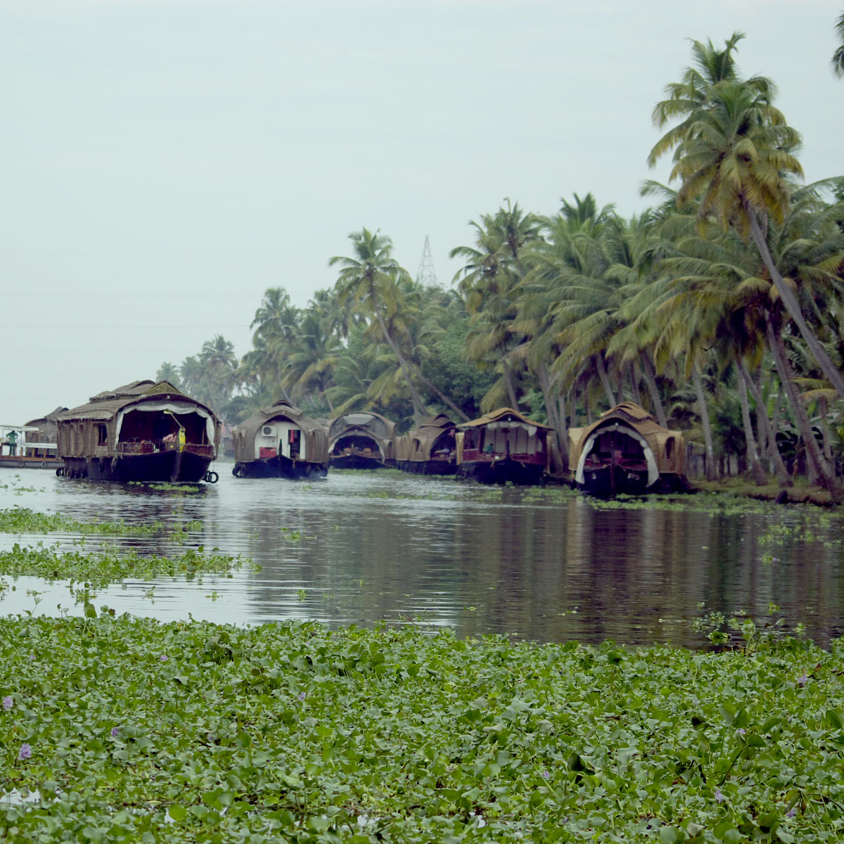 e0142611_1017385.jpg