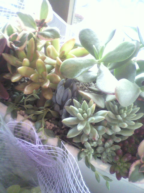 c0167112_23372663.jpg