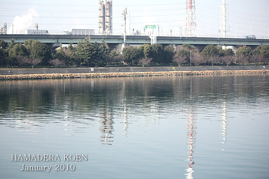 e0112312_1302340.jpg
