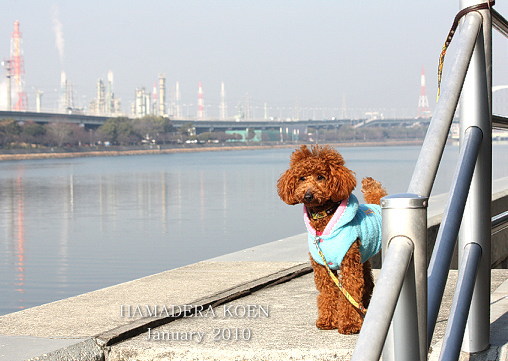 e0112312_1303073.jpg