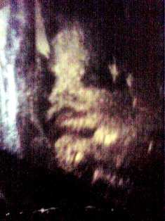 b0167813_19171287.jpg