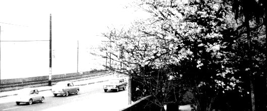 e0125014_15471047.jpg